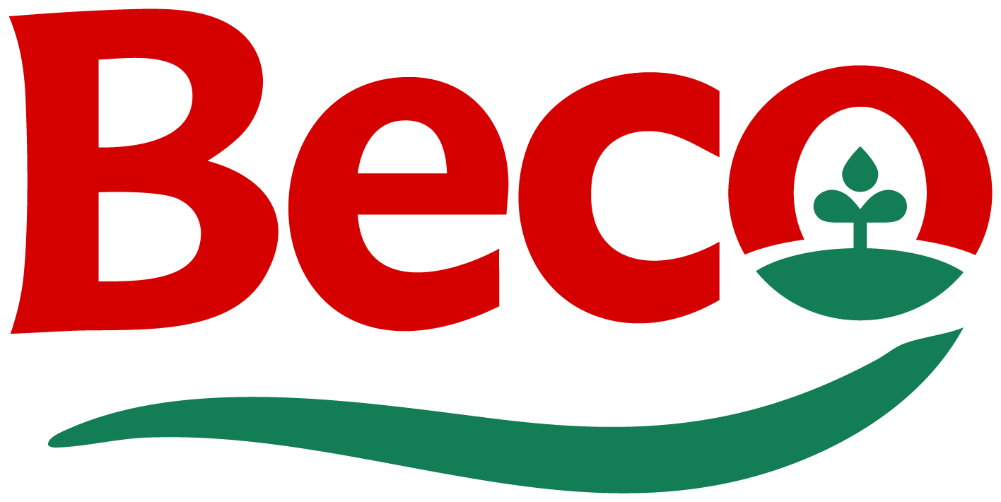 Beco